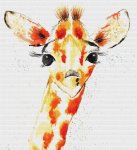 Baby (image for) Baby